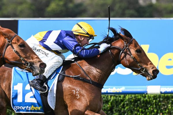 Maher fillies meet again in Stakes race at Sandown
