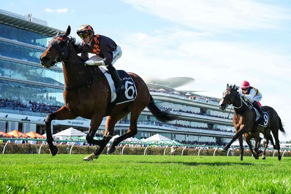 Group One Australian aspirations for Kiwi-breds