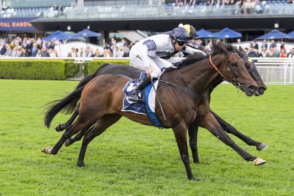 ‘TheBudgie’ out to maintain perfect distance record
