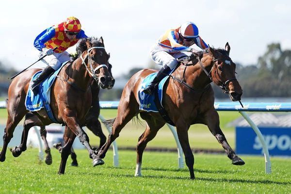 Tolaga Bay putting unbeaten record to the test