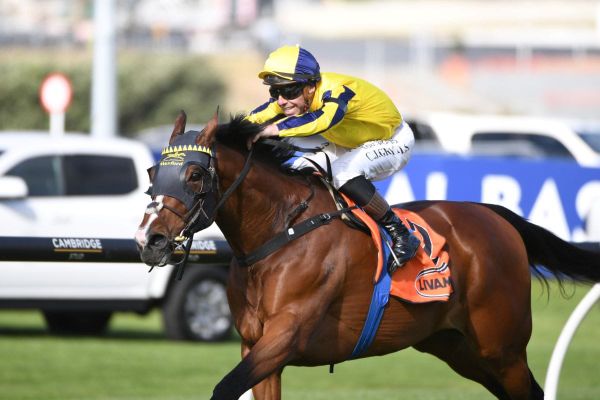 Craig Grylls’ standout season brings Jockey Of The Year award