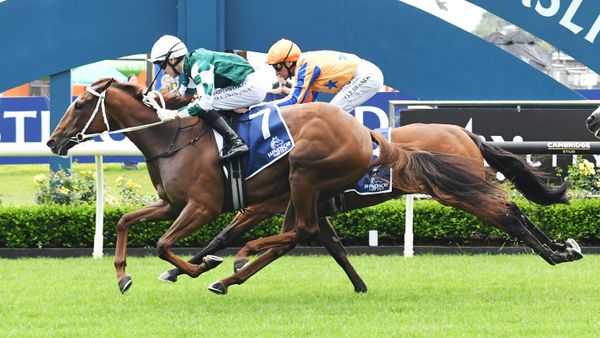 Star hoop lands ride on Well Written
