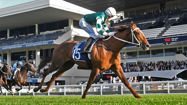 Unbeaten Well Written Crowned New Zealand Horse of the Year