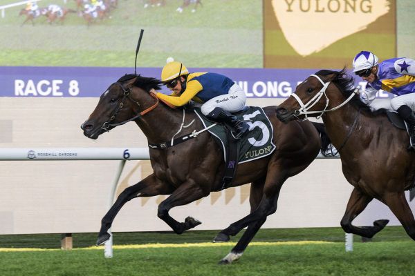 Warwoven primed for Golden Rose test