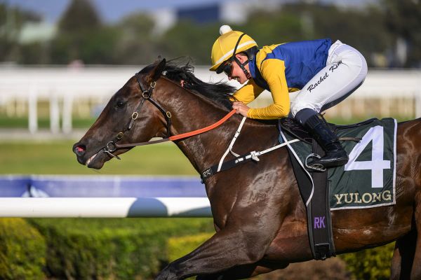 Warwoven delivers Golden Rose glory for Sword Of State