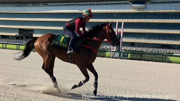 Dennis Yip pleased as Fast Network takes on Centaur Stakes at Hanshin