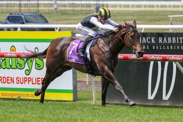 Aurora Belle delivers milestone win for Hayes