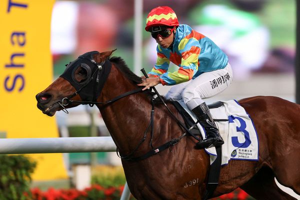 Kiwi connections shine with five Sha Tin winners