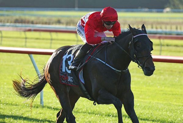 Start crucial to Livamol Classic contender