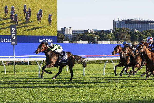 Back-to-back wins for in-form Anthracite