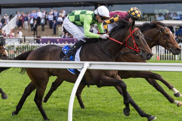 Gritty Anthracite sets new class record at Rosehill