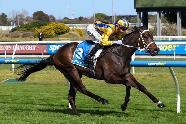 Blind Raise to take on Cox Plate challenge