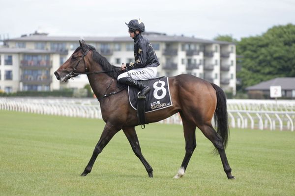 Unfavourable x-rays prove a blessing in disguise for Baxes