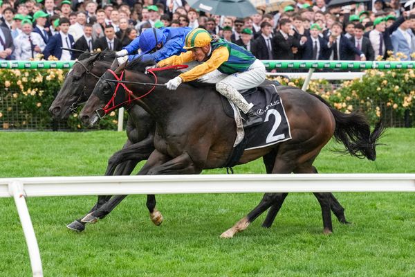 Wet conditions to aid Ceolwulf's King Charles defence