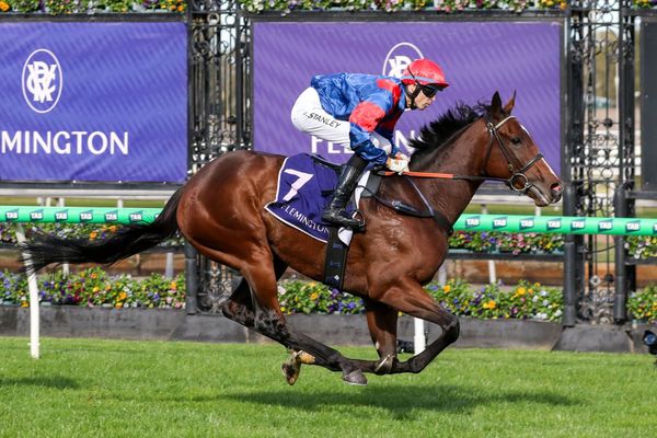 Williams keen on Connie