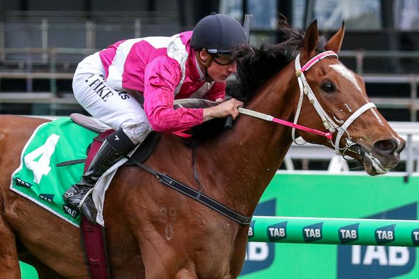 Cosmic Crusader confirmed for Caulfield Cup