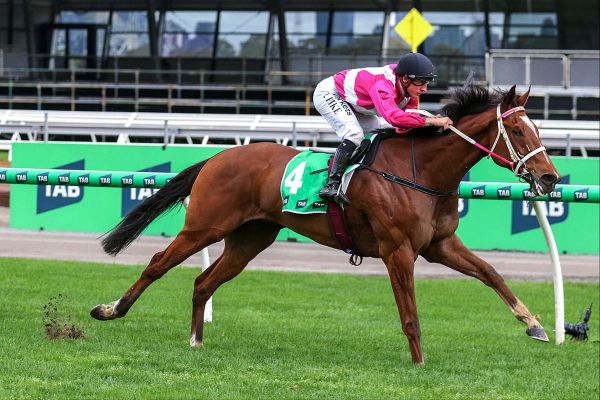 Melbourne Group One glory for Cosmic Crusader
