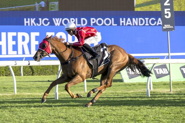 Cross Tasman overcomes wide run for tough Randwick win
