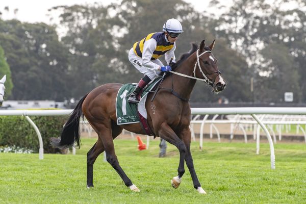 De Armas handed early Group One opportunity