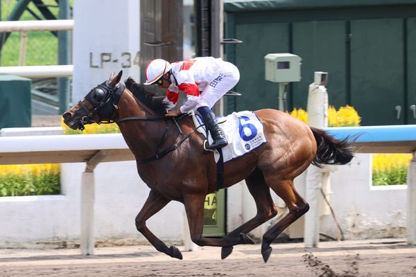New Zealand-bred Definitive delivers for War Decree in Hong Kong