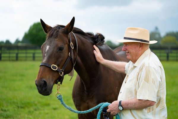 Ethereal enjoying retirement at Pencarrow Stud