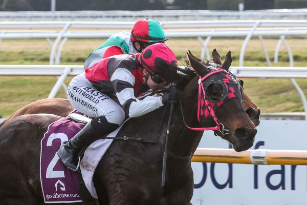 Flash Roca gets nod as top Riverton seed