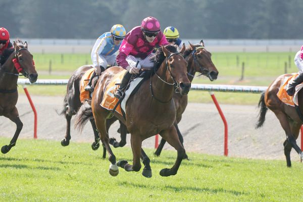 Fraudster the real deal in Ashburton feature