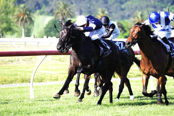 Melbourne Cup-winning partnership reunites