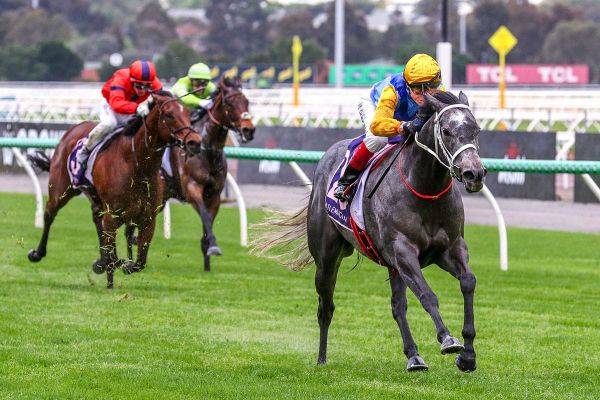 Dominant Australian debut for Hankee Alpha