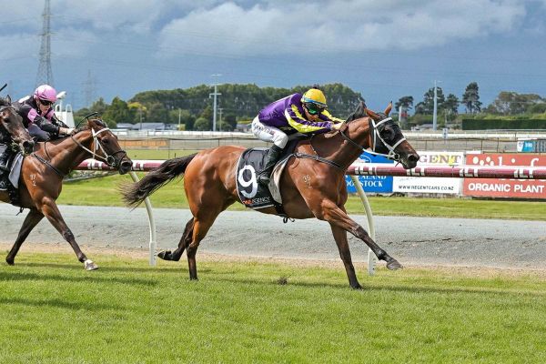 Cooper to reunite with dual Guineas winner