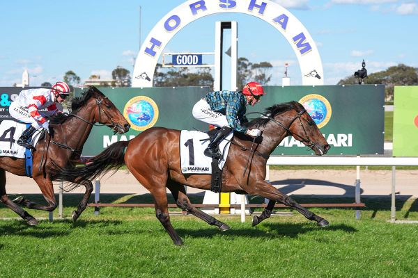 The Pendragon lands Horsham Cup