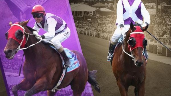 Hennessy reflects on Ocean Park’s Cox Plate heroics