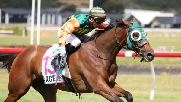 Pitman team poised to shine ahead of Cup week