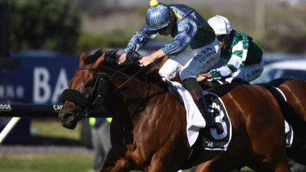 Mufhasa Classic in the crosshairs for Derby winner