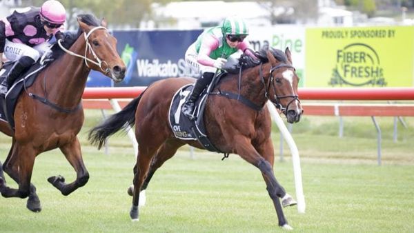 Stakes targets in the offing for promising filly