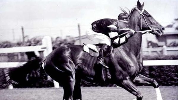 Timaru Celebrates 100 Years of Phar Lap