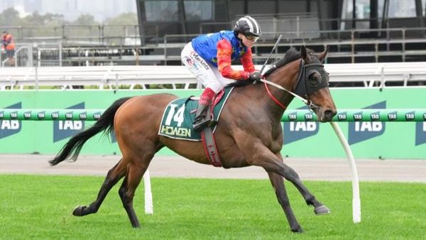 Breeding group toasts Flemington stakes success