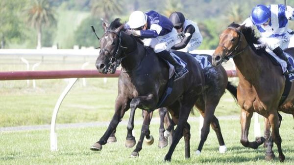 Melbourne Cup-winning partnership reunites