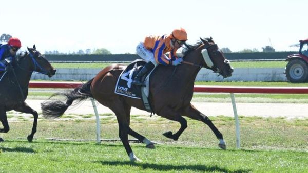 Te Akau’s Riccarton arsenal firing ahead of NZ Cup Week