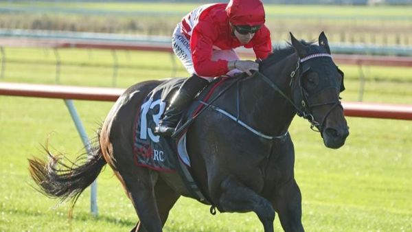 Start crucial to Livamol Classic contender