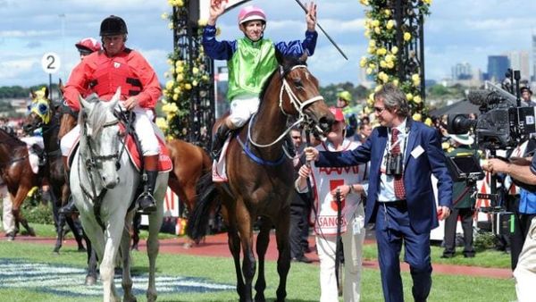 Expat Kiwis seeking to repeat history in Victoria Derby