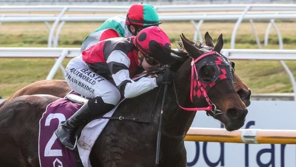 Flash Roca gets nod as top Riverton seed