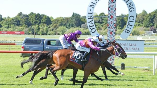 Platinum Diamond returns with a vengeance at Otaki