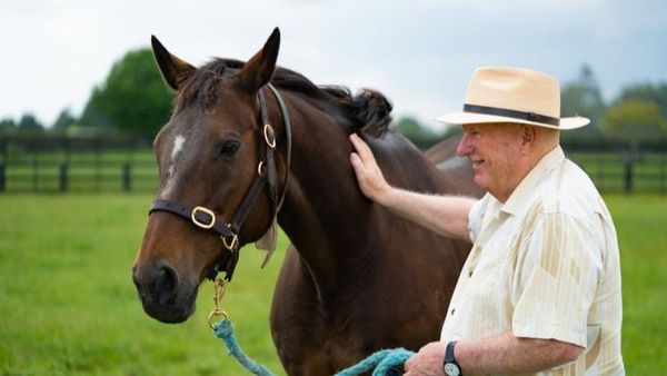 Ethereal enjoying retirement at Pencarrow Stud