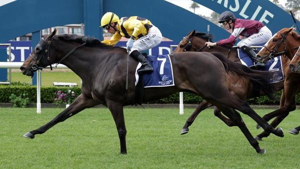 Highly regarded mare a top Kaimai prospect