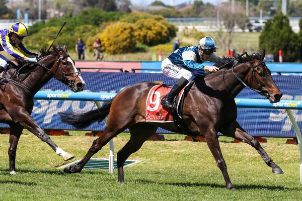 In’kantosstar continues winning rise at Caulfield