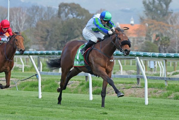 Bonecrusher Stakes next for Justin Case