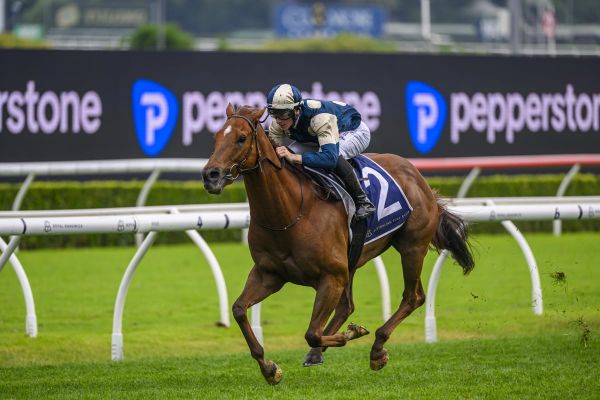 Jimmysstar primed for Russell Balding defence