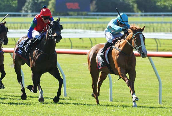 Team Rogerson and Clinton Isdale partnership quinella Feilding Cup