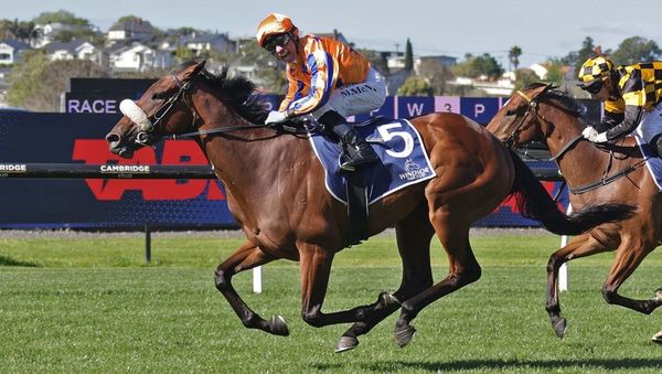 Group One beckons for gifted Monovale graduate
